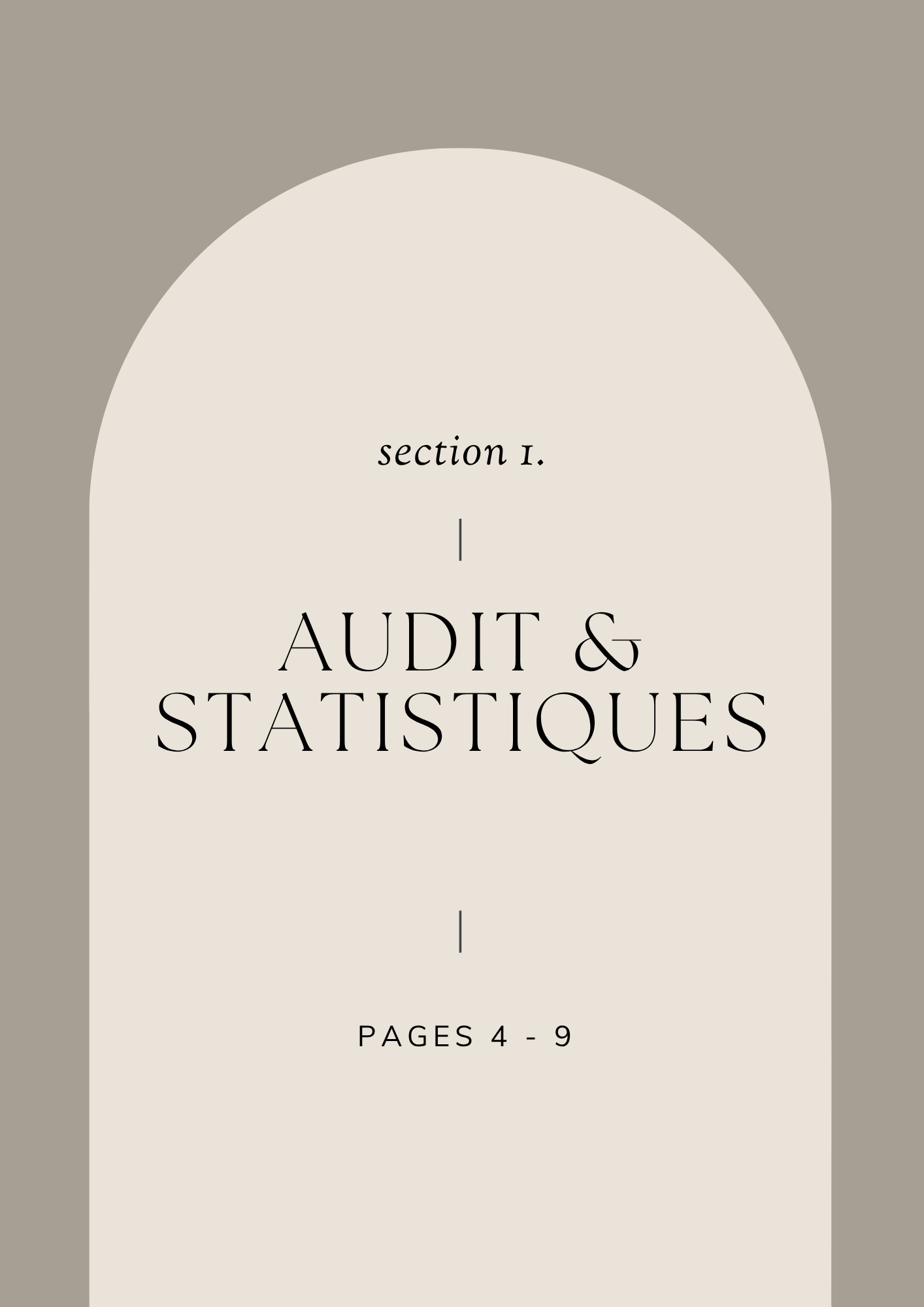 Planificateur de Publications Réseaux Sociaux - Template Organisation Contenu