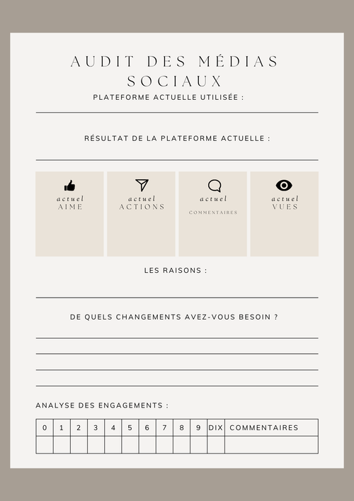 Planificateur de Publications Réseaux Sociaux - Template Organisation Contenu